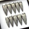 Ten silver stiletto press-on nails on white, with holographic cat-eye centres and raised silver chrome borders